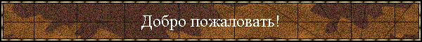 Добро пожаловать!