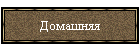 Домашняя