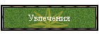 Увлечения