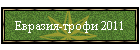 Евразия-трофи 2011