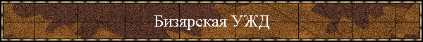 Бизярская УЖД