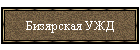 Бизярская УЖД