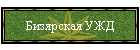Бизярская УЖД